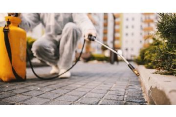 Disinfestazione adulticida in programma oggi e mercoledì 22 luglio